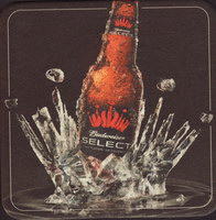 Beer coaster anheuser-busch-167-zadek