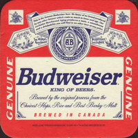Beer coaster anheuser-busch-184