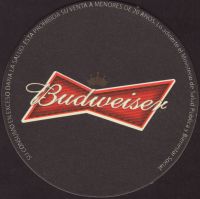 Beer coaster anheuser-busch-243-oboje