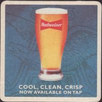 Beer coaster anheuser-busch-419-oboje