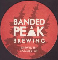 Beer coaster banded-peak-1