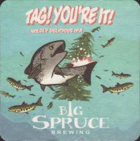 Bierdeckelbig-spruce-1-zadek-small