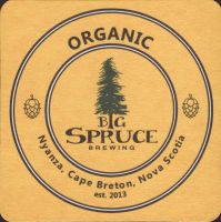 Bierdeckelbig-spruce-2-small
