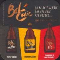 Pivní tácek binchoise-9-small.jpg