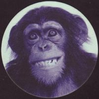 Beer coaster blue-monkey-1-zadek