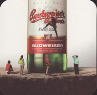 Beer coaster budvar-126