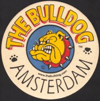 Bierdeckelbulldog-10-small