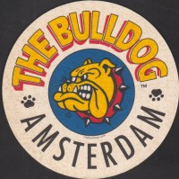 Beer coaster bulldog-8