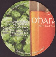 Beer coaster carlow-35-zadek