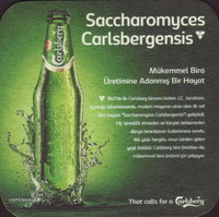 Bierdeckelcarlsberg-490-zadek