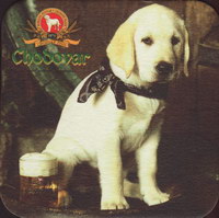 Beer coaster chodova-plana-31-small