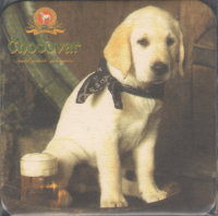 Beer coaster chodova-plana-39