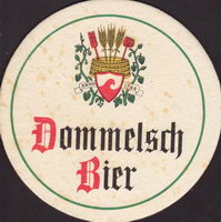 Pivní tácek dommelsche-22
