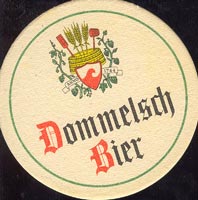 Beer coaster dommelsche-3