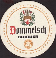 Beer coaster dommelsche-31