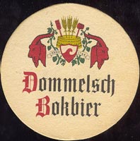 Beer coaster dommelsche-4