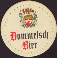 Beer coaster dommelsche-87