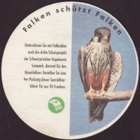 Bierdeckelfalken-28