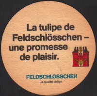 Bierdeckelfeldschloesschen-255-small