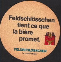 Bierdeckelfeldschloesschen-256-small