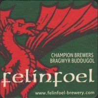 Beer coaster felinfoel-6