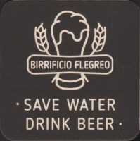Beer coaster flegreo-1