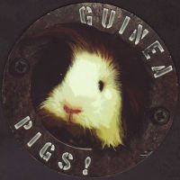 Beer coaster guinea-pigs-1-oboje