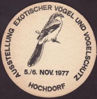 Bierdeckelhochdorf-36-zadek