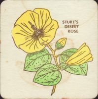 Beer coaster ji-sturts-desert-rose-1