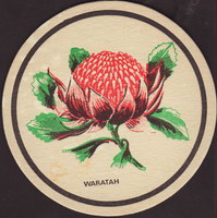 Beer coaster ji-waratah-1