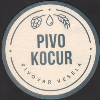 Beer coaster kocur-1