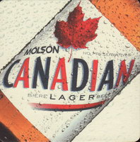 Beer coaster molson-138