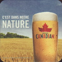 Beer coaster molson-155-oboje-small