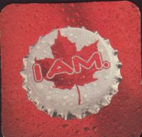 Beer coaster molson-195-zadek