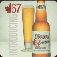 Beer coaster molson-59