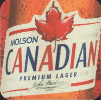 Beer coaster molson-68