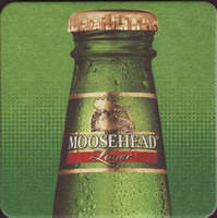 Beer coaster moosehead-16