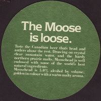 Beer coaster moosehead-24-zadek