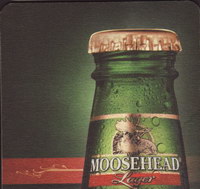 Beer coaster moosehead-29