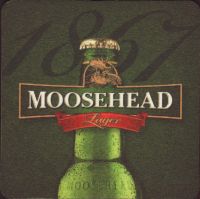 Beer coaster moosehead-37