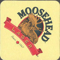 Pivní tácek moosehead-5