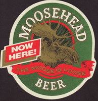 Beer coaster moosehead-9