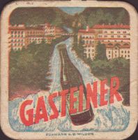 Beer coaster n-gasteiner-1