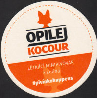 Bierdeckelopilej-kocour-1