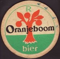 Bierdeckeloranjeboom-110-small