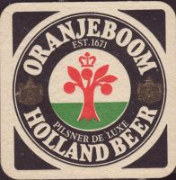 Bierdeckeloranjeboom-125