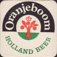 Bierdeckeloranjeboom-126