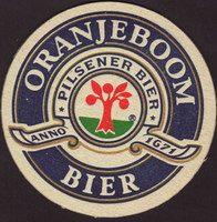 Bierdeckeloranjeboom-63