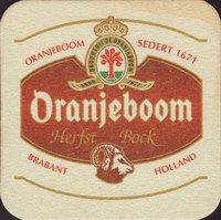 Bierdeckeloranjeboom-65