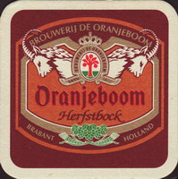 Bierdeckeloranjeboom-66